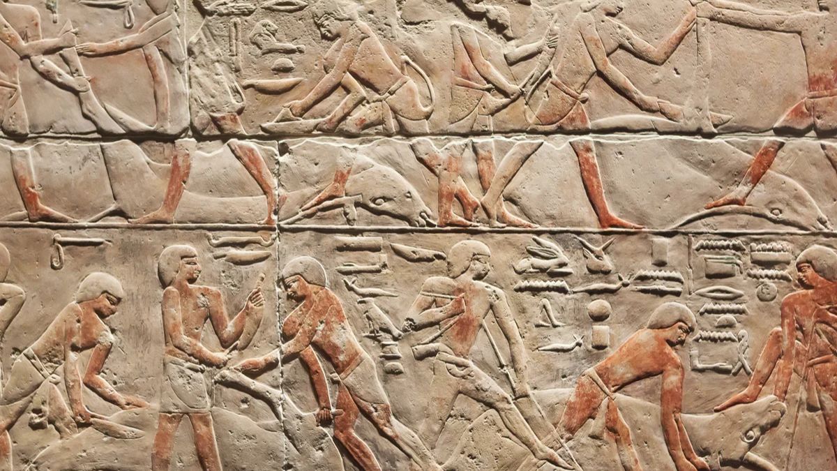 Ancient Egypt DNA