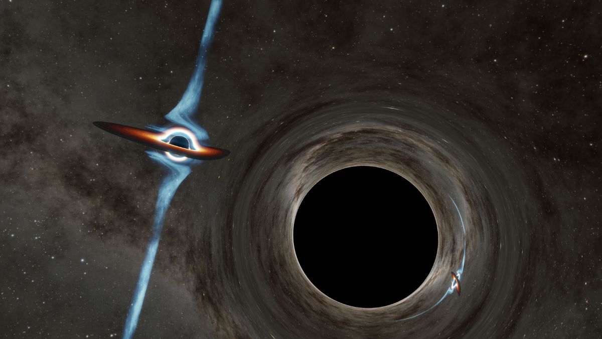Black Hole Firewall