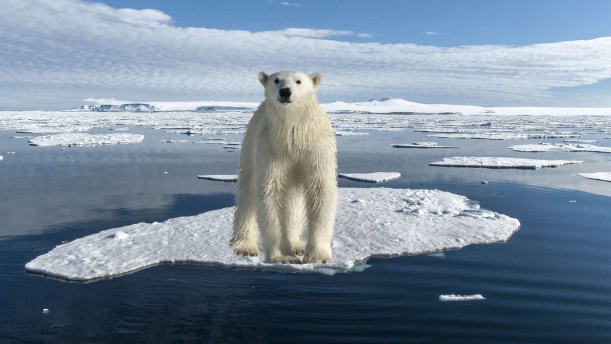 Climate Change Clue