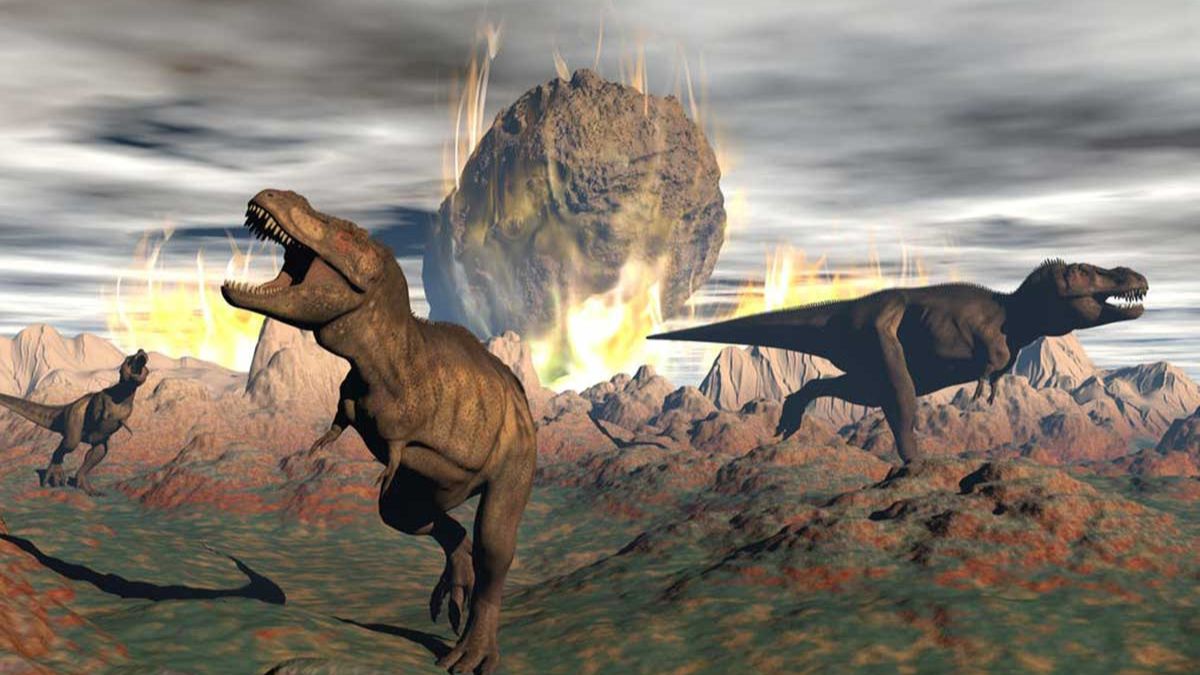 Dinosaur