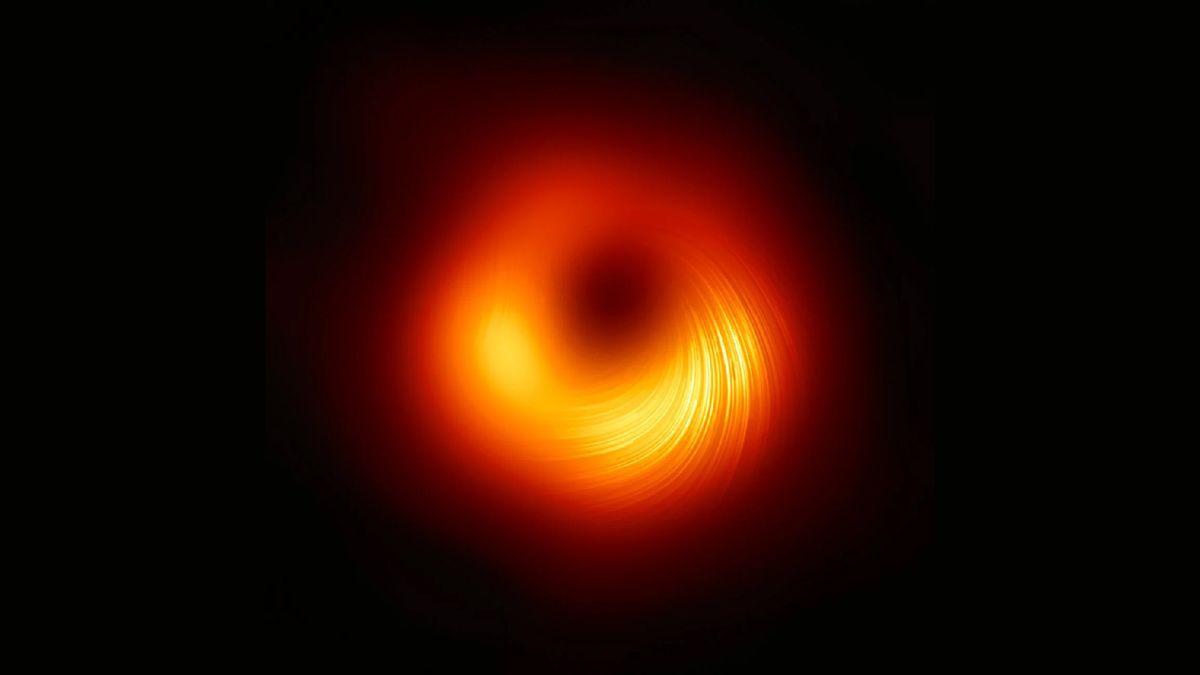 Black Holes