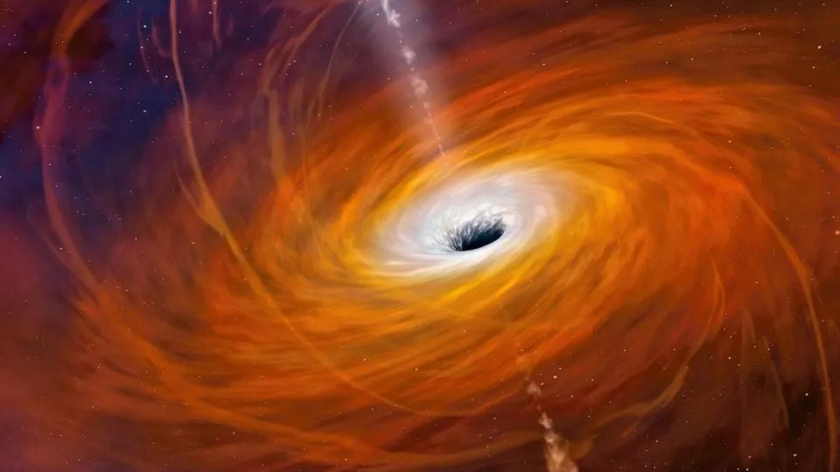 Black Holes