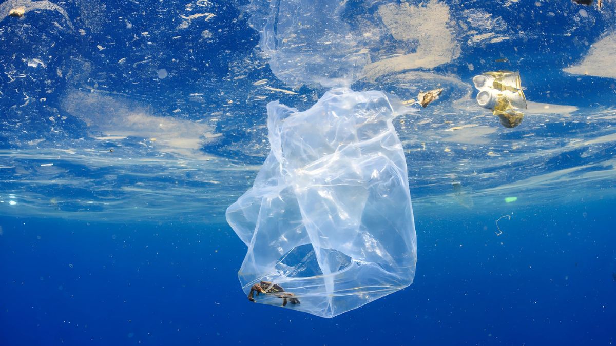 Ocean Pollution