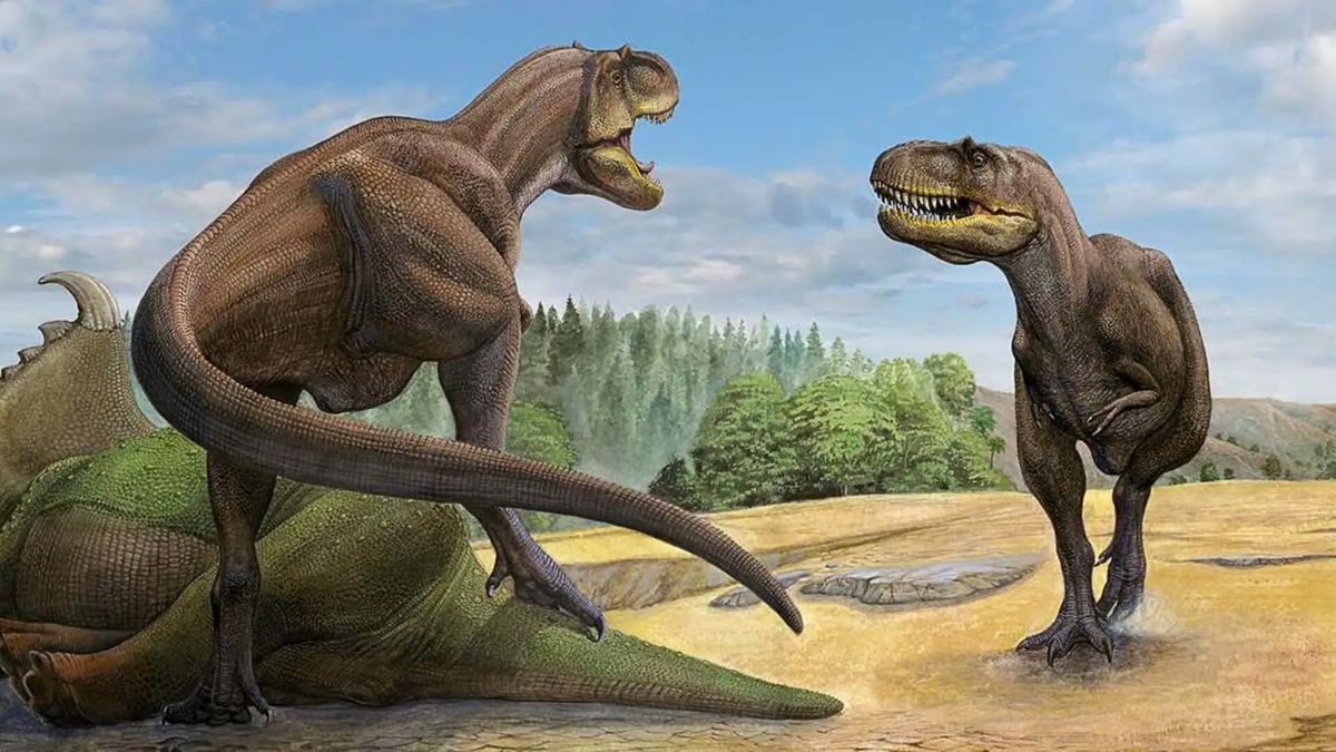 T. rex Evolution